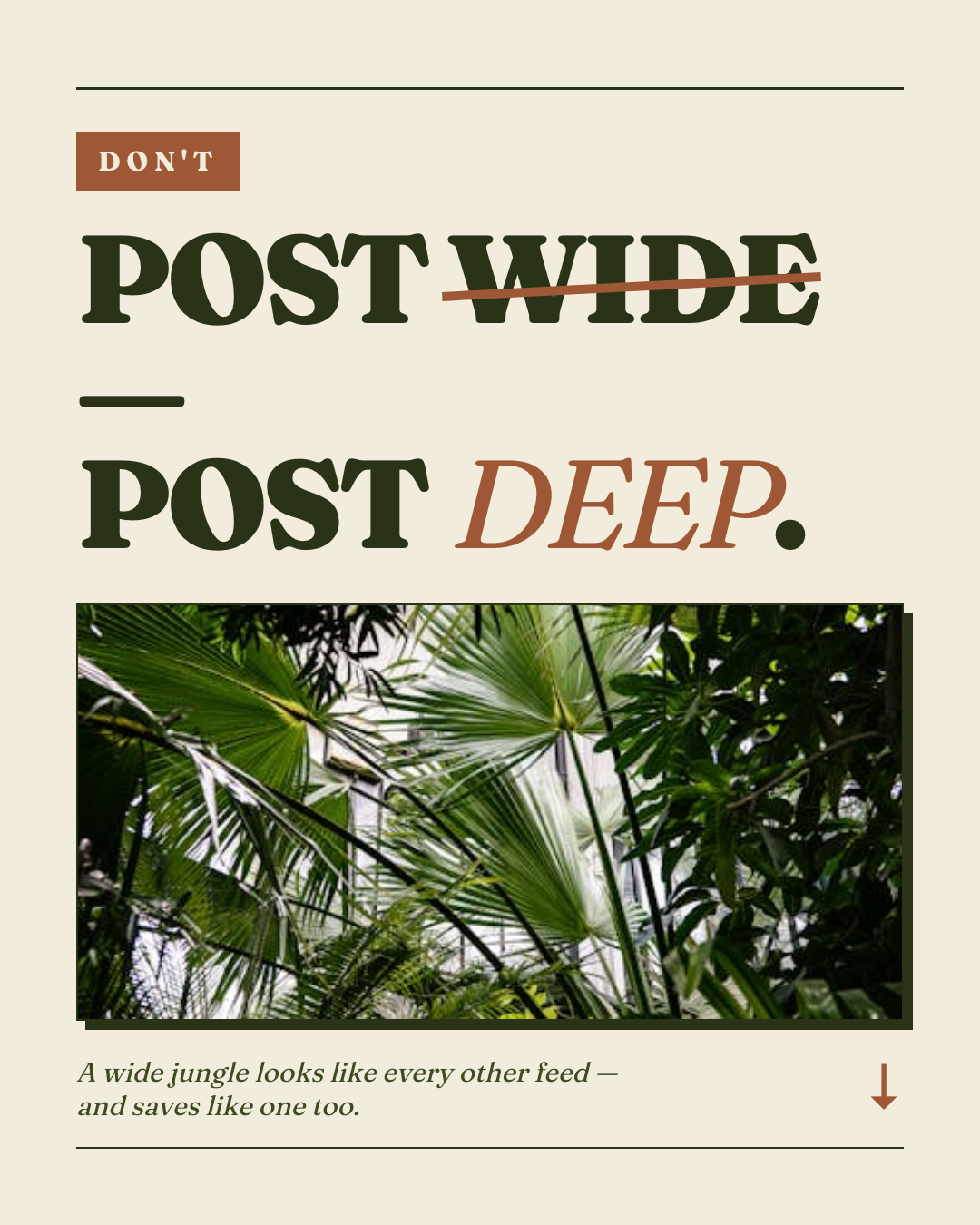 Slide 5