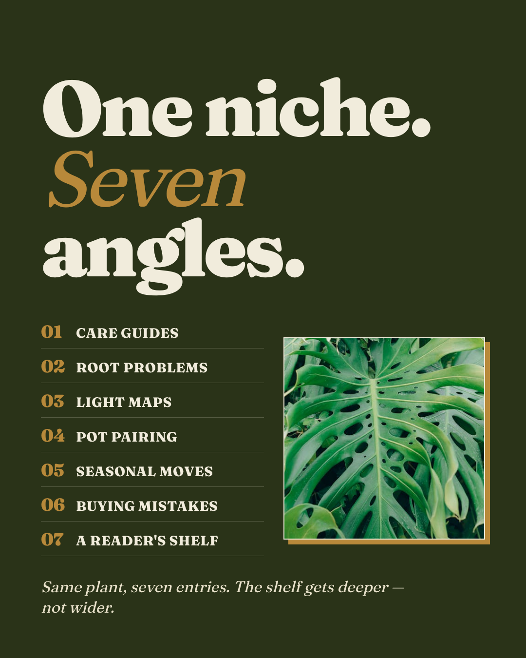 Slide 6