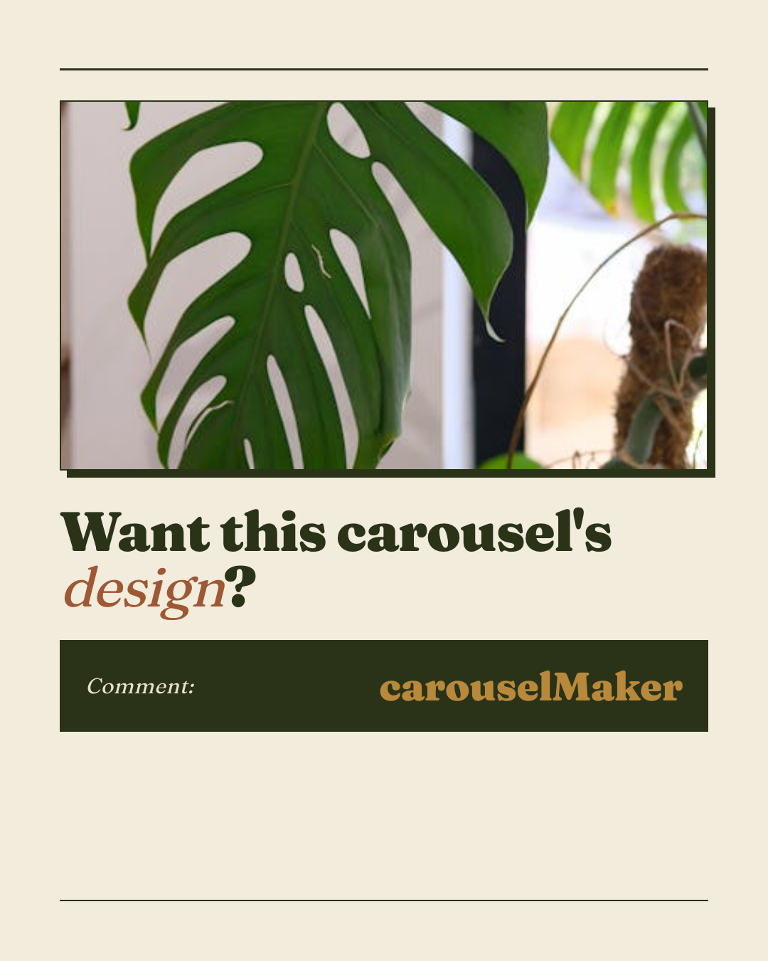 Slide 7