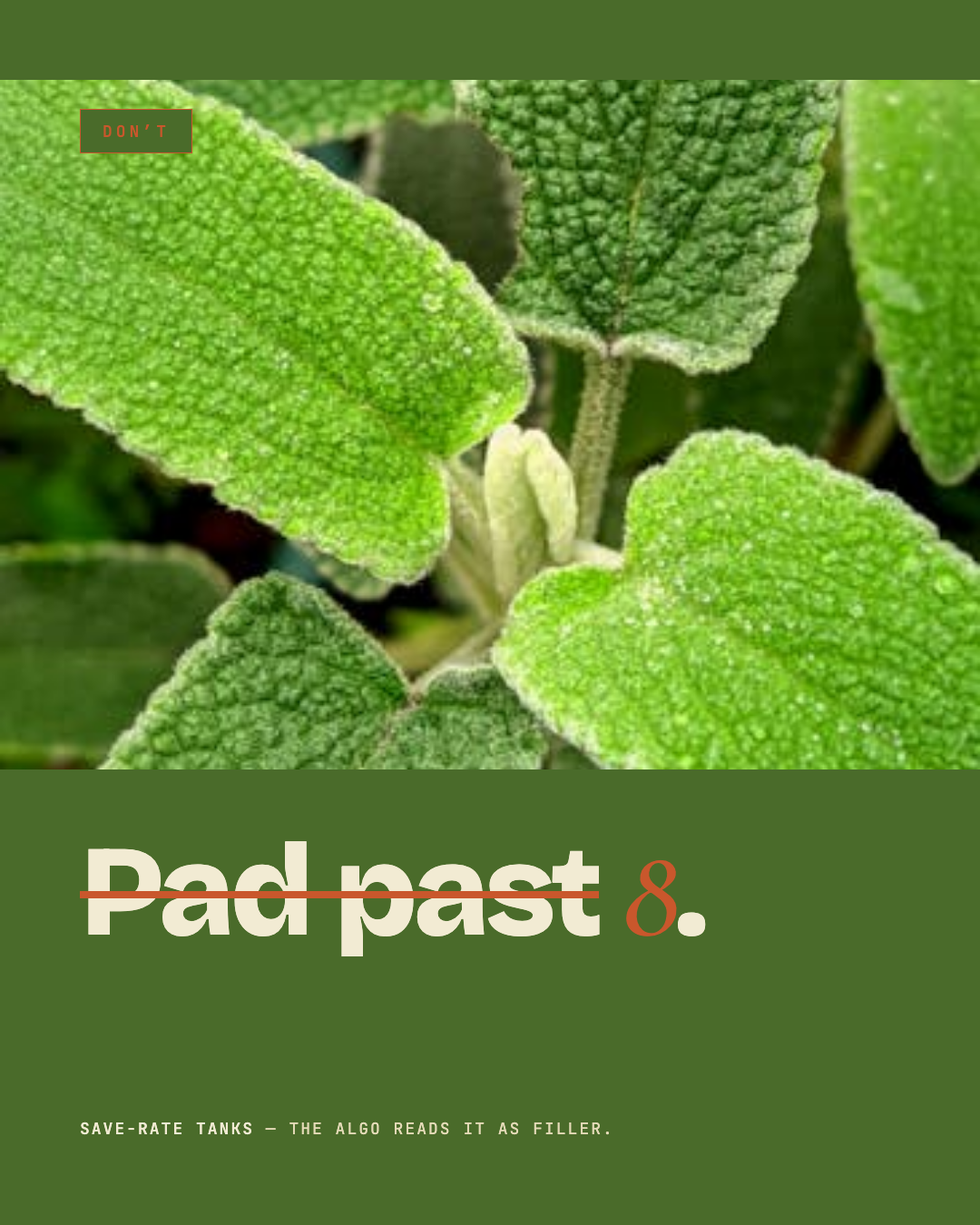 Slide 5