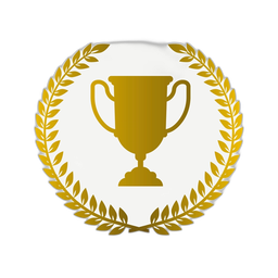 Premium design asset
