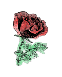 Premium design asset