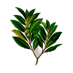 Premium design asset