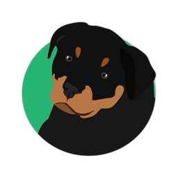 Premium design asset